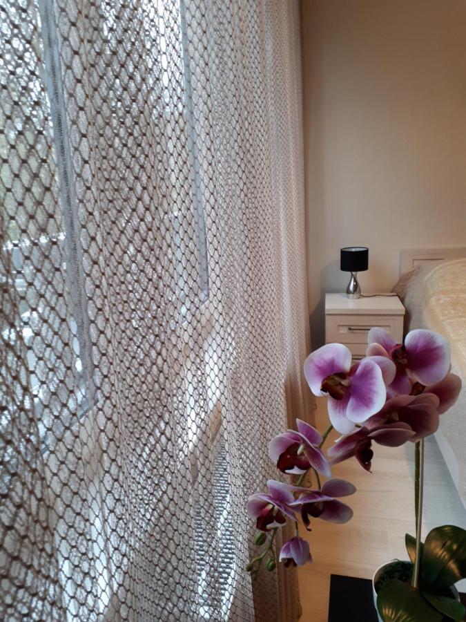 Vena Apartment ヴロツワフ エクステリア 写真